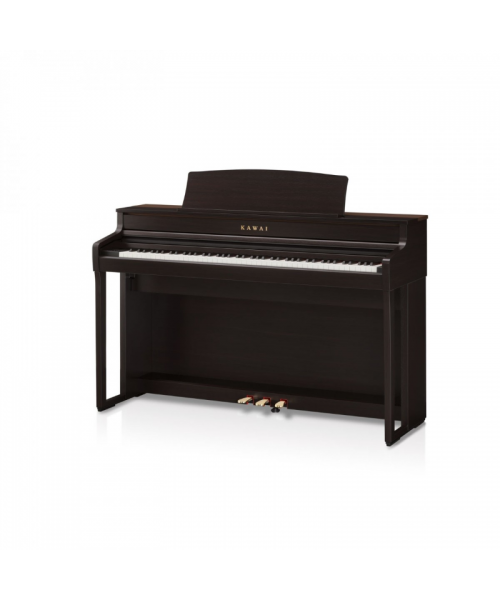 CA 501 Rosewood digital piano