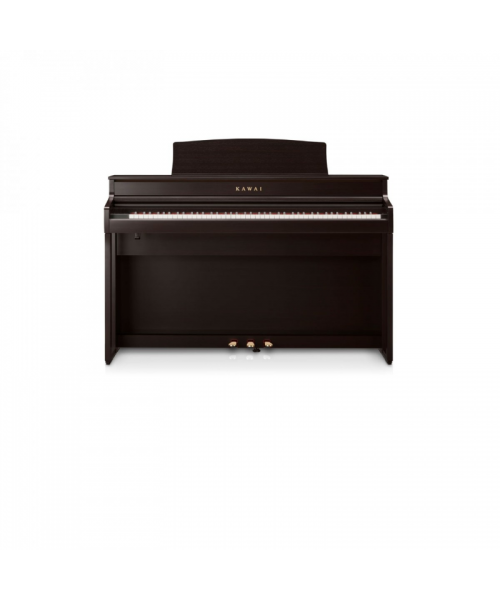 CA 501 Rosewood digital piano