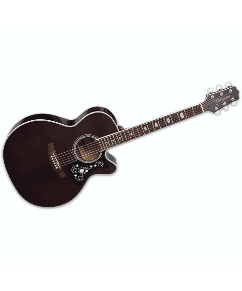 TAKAMINE GN75CETBK