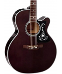 TAKAMINE GN75CETBK