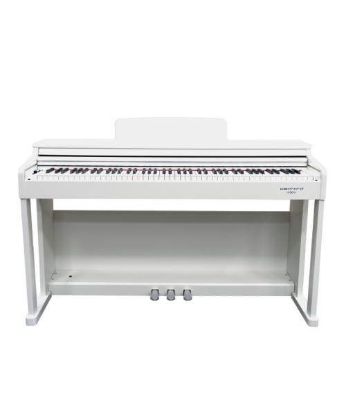 ECHORD DPX100 POLISH WHITE