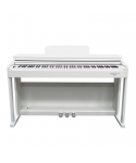 ECHORD DPX100 Polish White