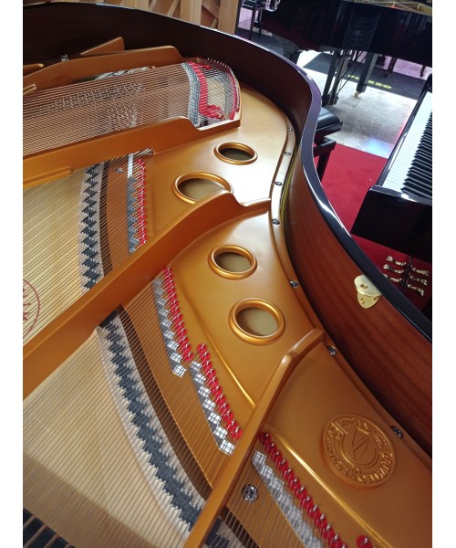 SCHULZE POLLMANN S 187A NERO LUCIDO