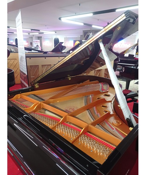 SCHULZE POLLMANN S 187A NERO LUCIDO