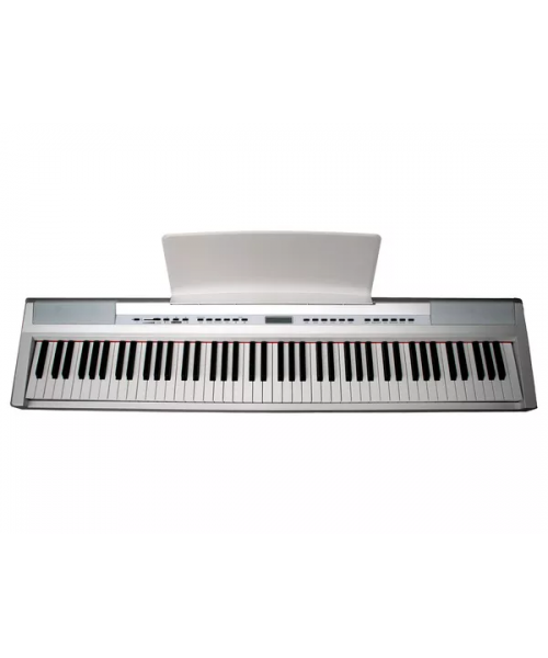 ECHORD SP10 WHITE