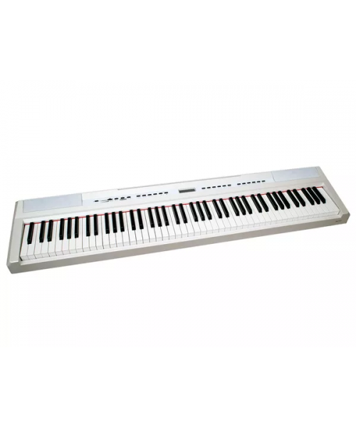 ECHORD SP10 WHITE