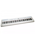 ECHORD SP10 WHITE