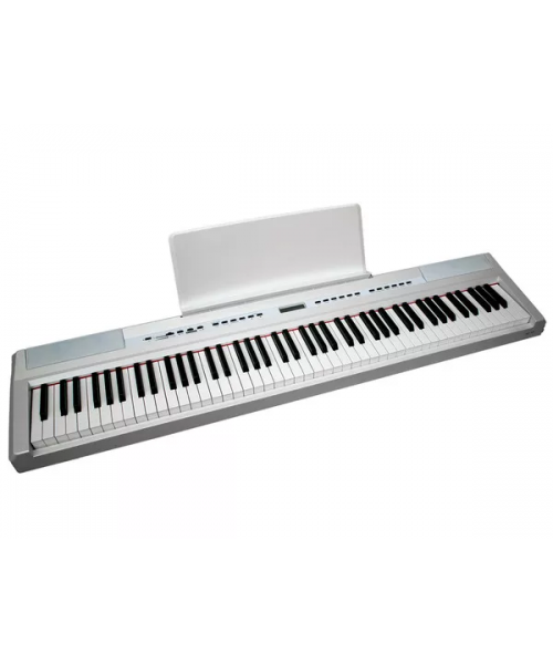 ECHORD SP10 WHITE