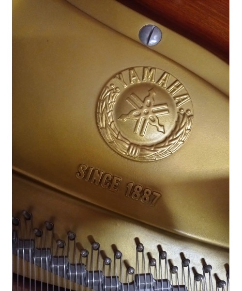 Half-tail piano YAMAHA C3 shiny black