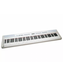ECHORD SP10 WHITE