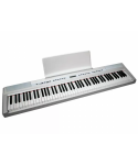 ECHORD SP10 WHITE