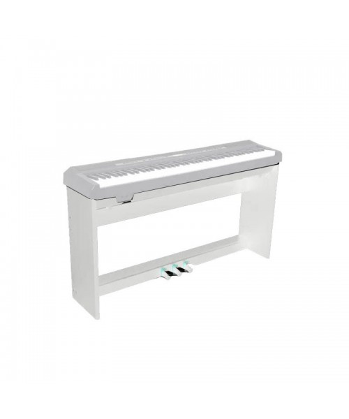 ECHORD SP10 WHITE