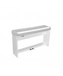 ECHORD WS10 WHITE