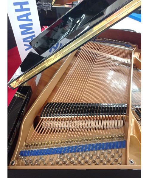 Piano pigtail KAWAI Glossy kg1e