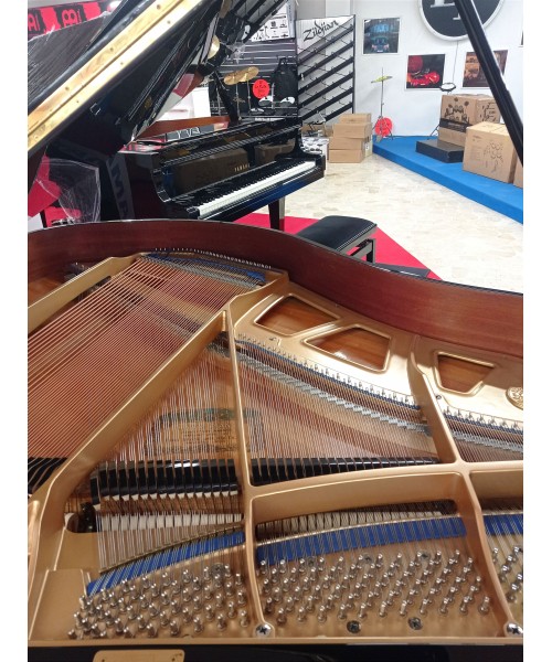 Piano pigtail KAWAI Glossy kg1e