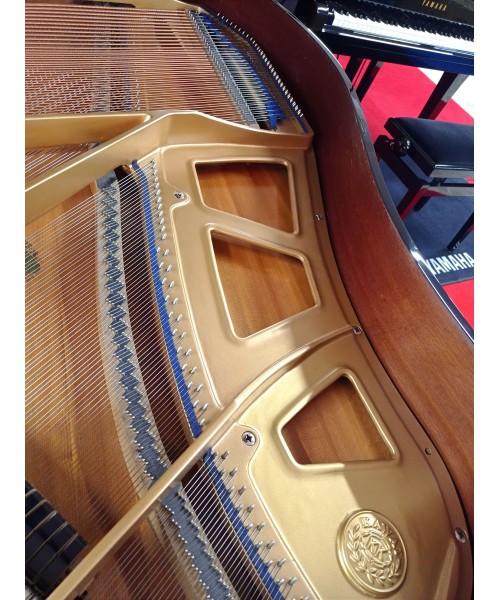 Piano pigtail KAWAI Glossy kg1e