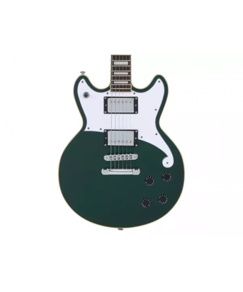 D'ANGELICO PREMIER BRIGHTON SHERWOOD GREEN