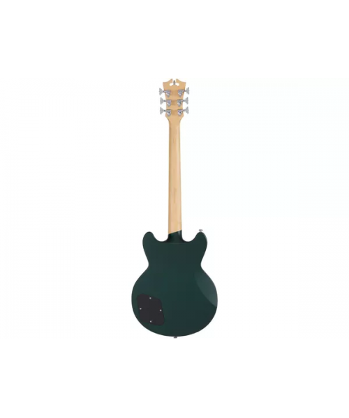 D'ANGELICO PREMIER BRIGHTON SHERWOOD GREEN