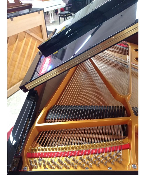 SCHULZE POLLMANN S 172 A NERO LUCIDO