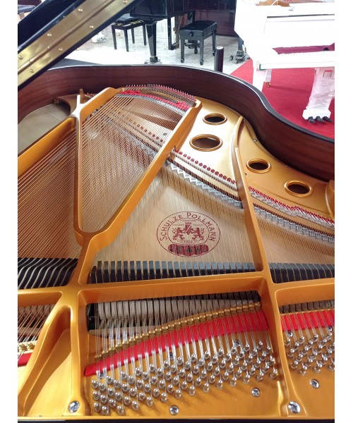 SCHULZE POLLMANN S 172 A NERO LUCIDO