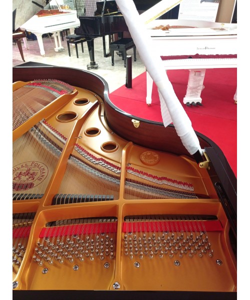 SCHULZE POLLMANN S 172 A NERO LUCIDO