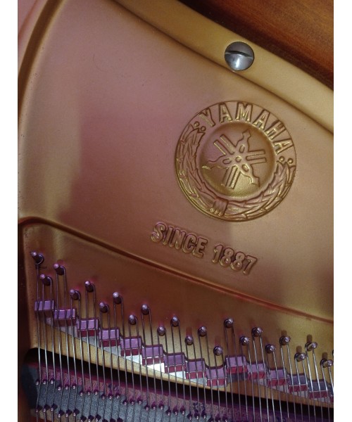 Half-tail piano YAMAHA C3 shiny black