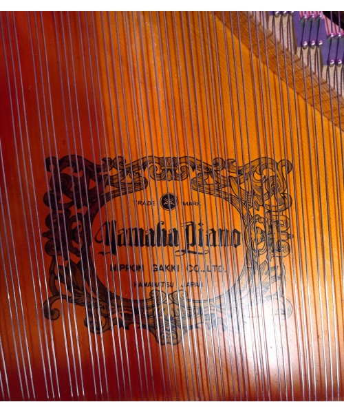 Half-tail piano YAMAHA C3 shiny black