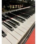 Half-tail piano YAMAHA MoD. C7 glossy black