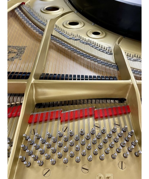 Half-tail piano YAMAHA MoD. C7 glossy black