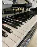 Half-tail piano YAMAHA MoD. G5a glossy black