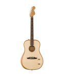 FENDER HIGHWAY SERIE DREADNOUGHT RW NATURAL