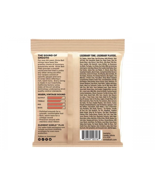 ERNIE BALL 2580 Light Flat El Guitar 11-50