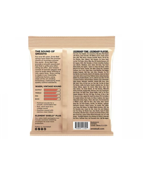 ERNIE BALL 2800 Short stairs Flat gr 1 Ele Bass 5