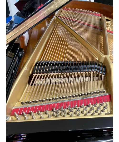 Piano pigtail KAWAI MoD. Glossy black kg2