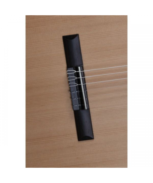 Alhambra Z-Nature Chitarra Classica con Borsa