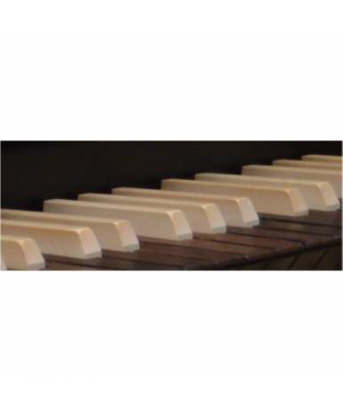 VISCOUNT Cantorum Duo Plus - W