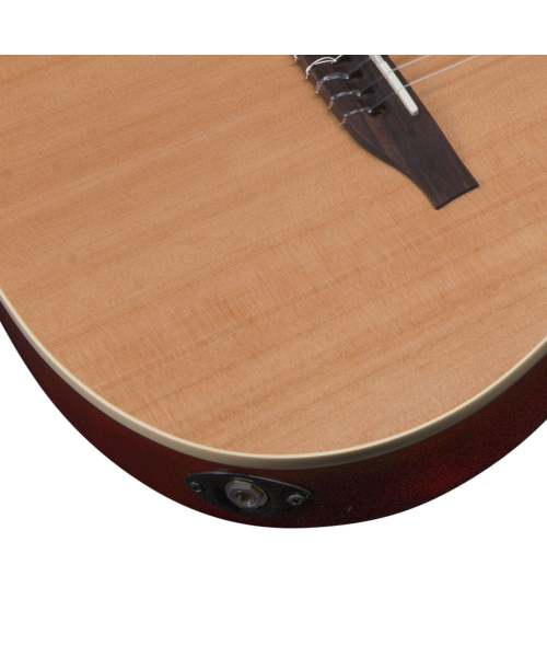 GODIN MultiAc Nylon Encore Natural SG