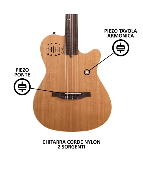 GODIN MultiAc Nylon Encore Natural SG