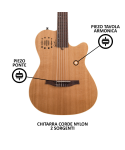 GODIN MultiAc Nylon Encore Natural SG