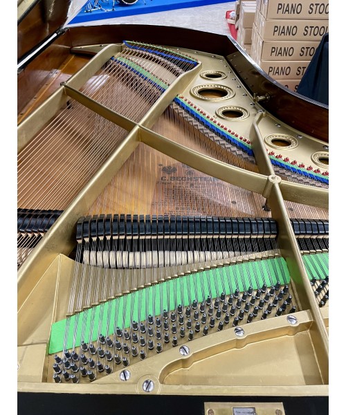 Half-tail piano BECHSTEIN Glossy black