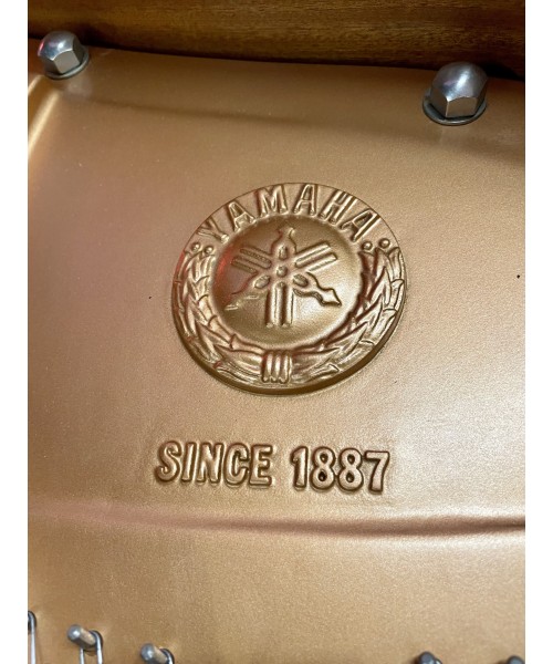 Half-tail piano YAMAHA MoD. C3 shiny black