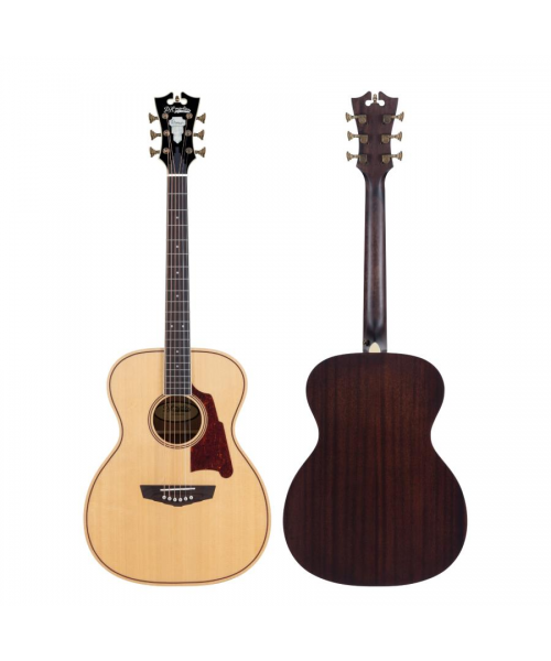 D'ANGELICO Premier Tammany Natural