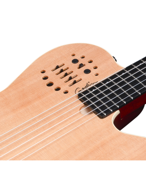 GODIN ACS NYLON SYNTH ACCESS 2 VOICE NATURAL SG