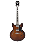 D'ANGELICO Premier DC Brown Burst