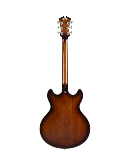 D'ANGELICO Premier DC Brown Burst