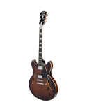 D'ANGELICO Premier DC Brown Burst
