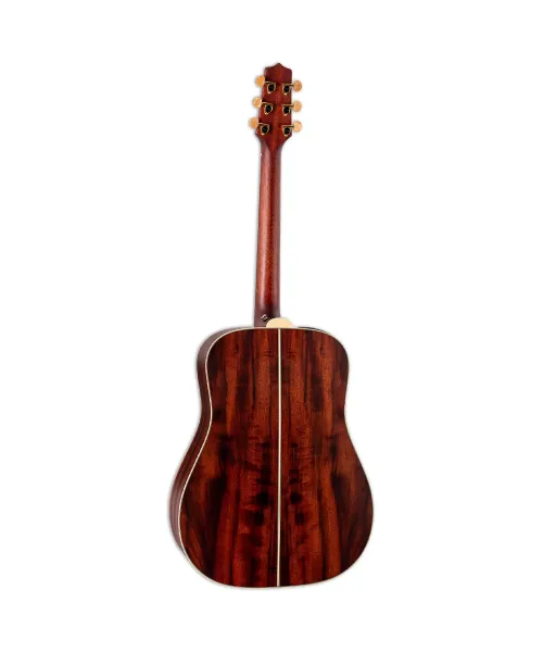 takamine Dreadnought Elet TEP3 Series