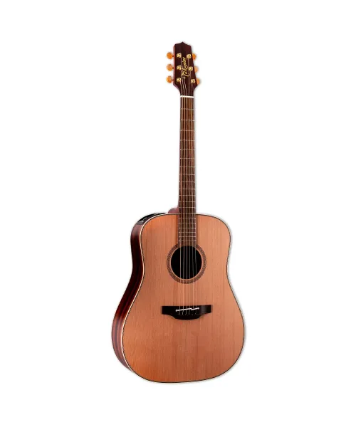 takamine dreadnought elet tep3 series