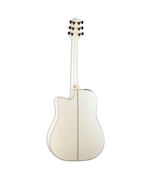 takamine Dreadnought CTW Elet G Series Pro