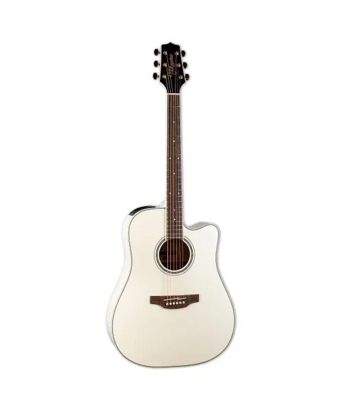 takamine dreadnought ctw elet g series pro